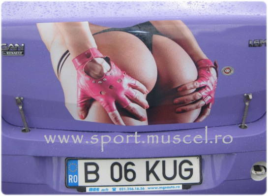 andreea_necula_playboy