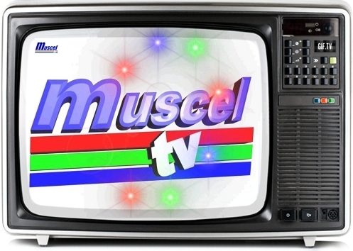 sigla_muscel_tv